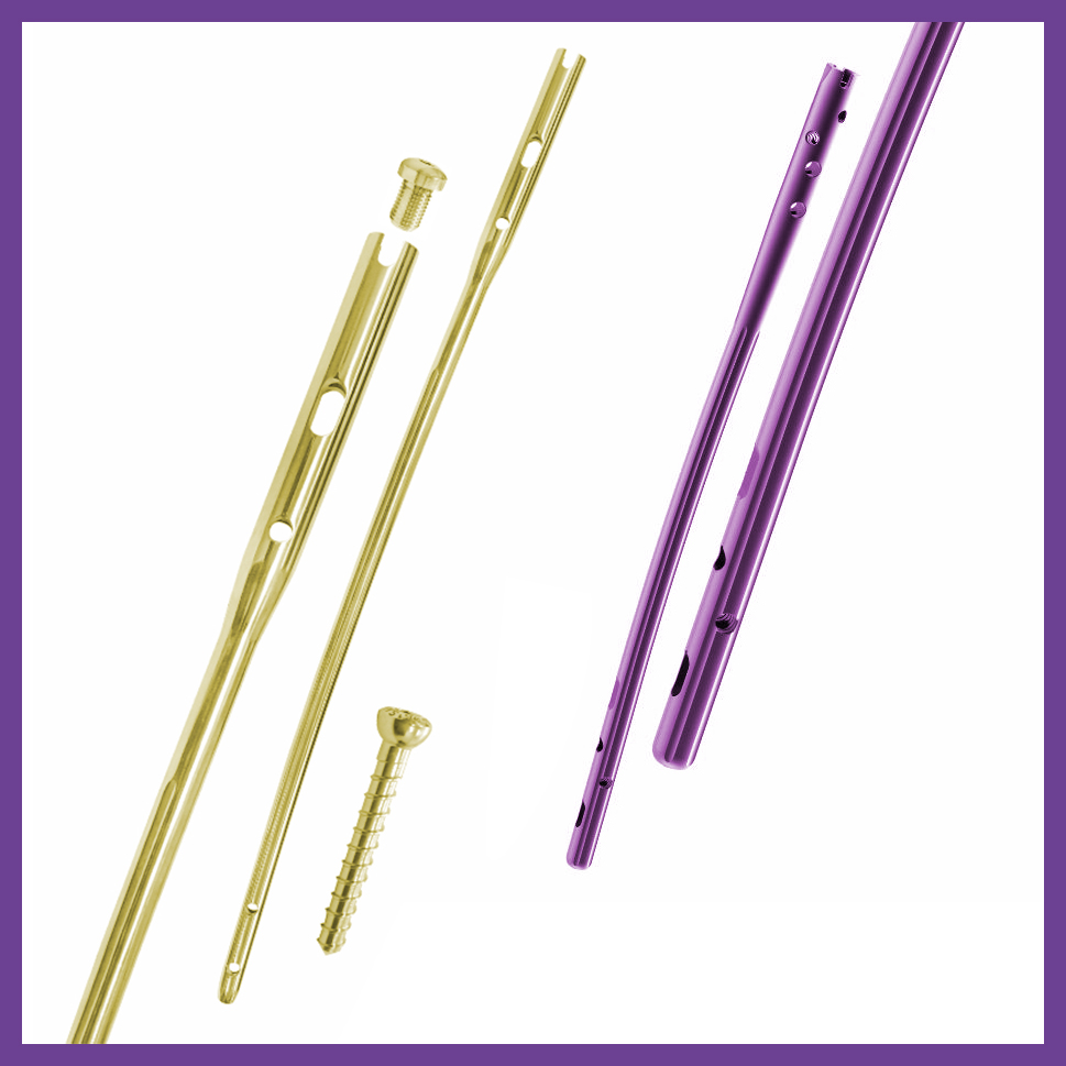 Intramedullary Nailing System