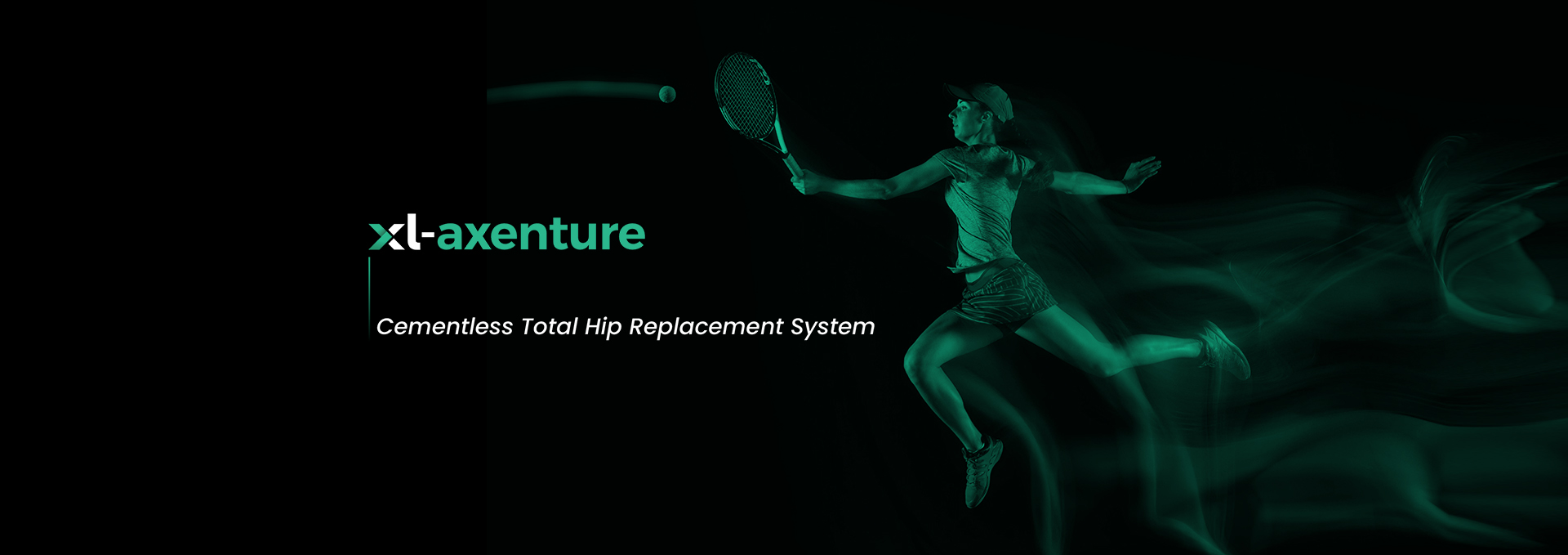 hip replacement system